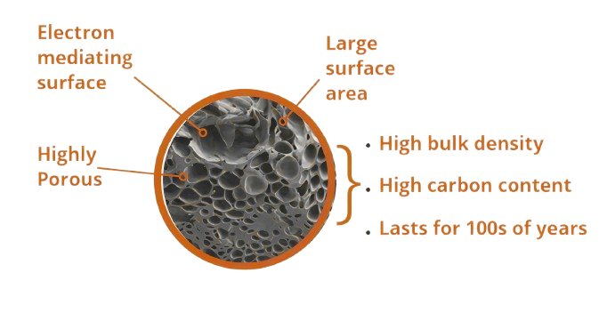 Diagram of biochar's porous microstructure