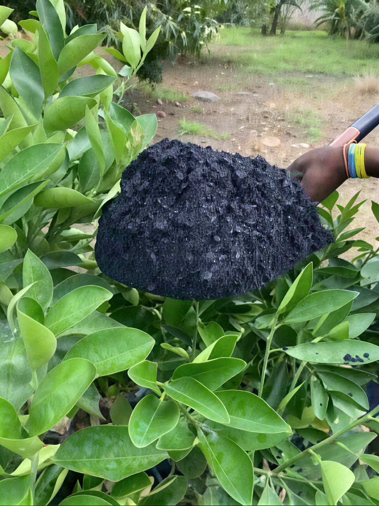 Pyro Biochar product photo 4